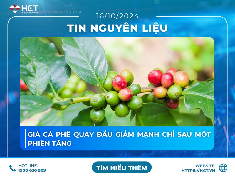 Giá cà phê quay đầu giảm chỉ sau một phiên tăng 