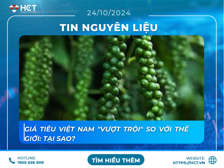 cập nhật thay đổi giá hồ tiêu 24/10. cập nhật thay đổi giá hồ tiêu 24/10.