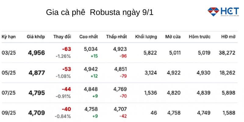 giá cà phê Robusta ngày 9/1/2025