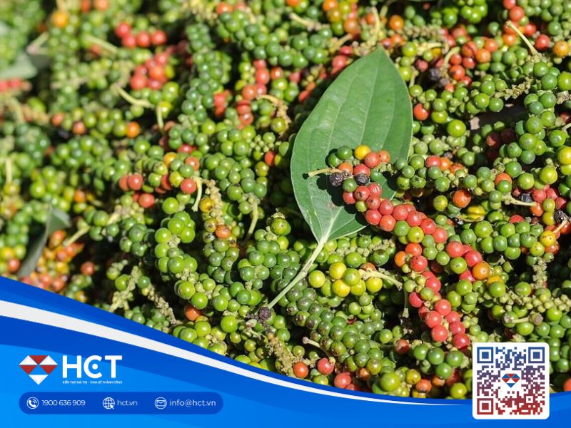 Thị trường hồ tiêu ngày 8/7: Giao dịch trầm lắng trong nước