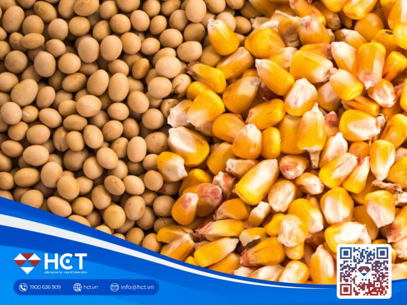 Thị trường nông sản biến động trái chiều ngày 16/7