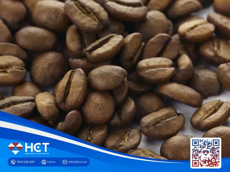 Giá cà phê 18/07: Thị trường trong nước hạ nhiệt, quốc tế đối mặt biến động lớn