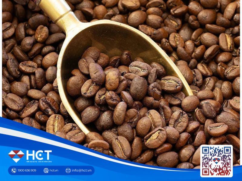 Thi trường cà phê 28/07/2025: Brazil đẩy nhanh thu hoạch, thị trường vẫn tiềm ẩn rủi ro