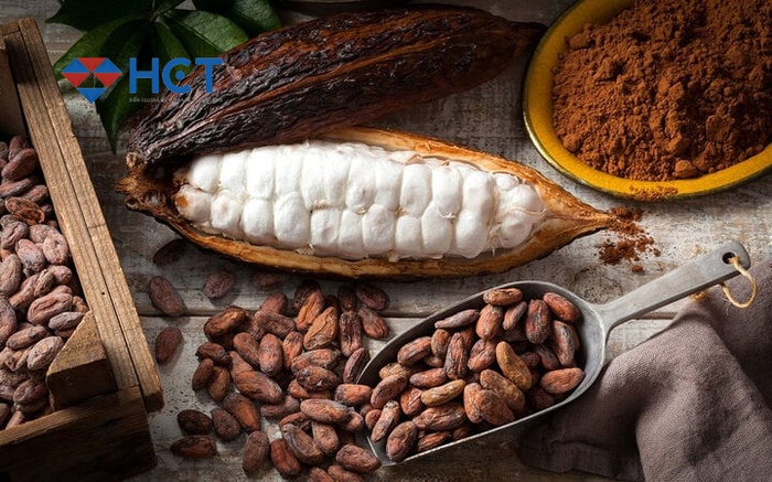giao dịch cacao